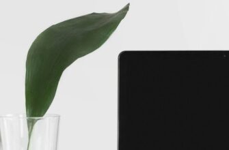 Системные требования для облачного сервиса GeForce NOW